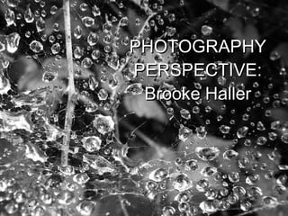 PHOTOGRAPHY PERSPECTIVE: Brooke Haller 