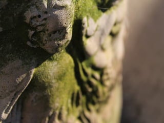 Photography portfolio