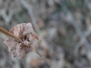 Photography portfolio