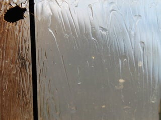 Photography portfolio