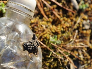 Photography portfolio