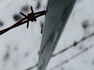 Photography portfolio