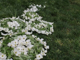 Photography portfolio