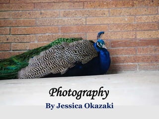 Photography
By Jessica Okazaki

 