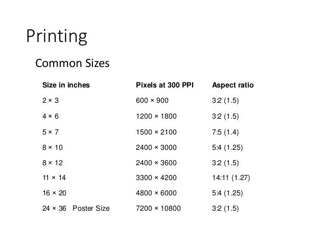 Costco Print Sizes >> Photography Post Processing Costco Print Sizes >> Photography Post Processing