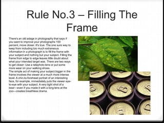 Rule No.3 – Filling The
                      Frame
There's an old adage in photography that says if
you want to improve your photographs 100
percent, move closer. It's true. The one sure way to
keep from including too much extraneous
information in a photograph is to fill the frame with
your subject and nothing but your subject. Filling the
frame from edge to edge leaves little doubt about
what your intended target was. There are two ways
to get closer: Use a telephoto lens or put some
more wear on your walking shoes.
The simple act of making your subject bigger in the
frame involves the viewer at a much more intense
level. A chin-to-forehead portrait of an interesting
face, for example, immediately puts the viewer eye-
to-eye with your subject. A very tight shot of a
bear—even if you made it with a long lens at the
zoo—creates breathless drama.
 