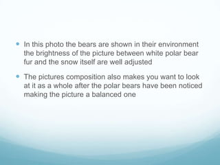 In this photo the bears are shown in their environment
  the brightness of the picture between white polar bear
  fur and the snow itself are well adjusted

 The pictures composition also makes you want to look
  at it as a whole after the polar bears have been noticed
  making the picture a balanced one
 