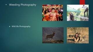 • Weeding Photography
 Wild life Photography
 