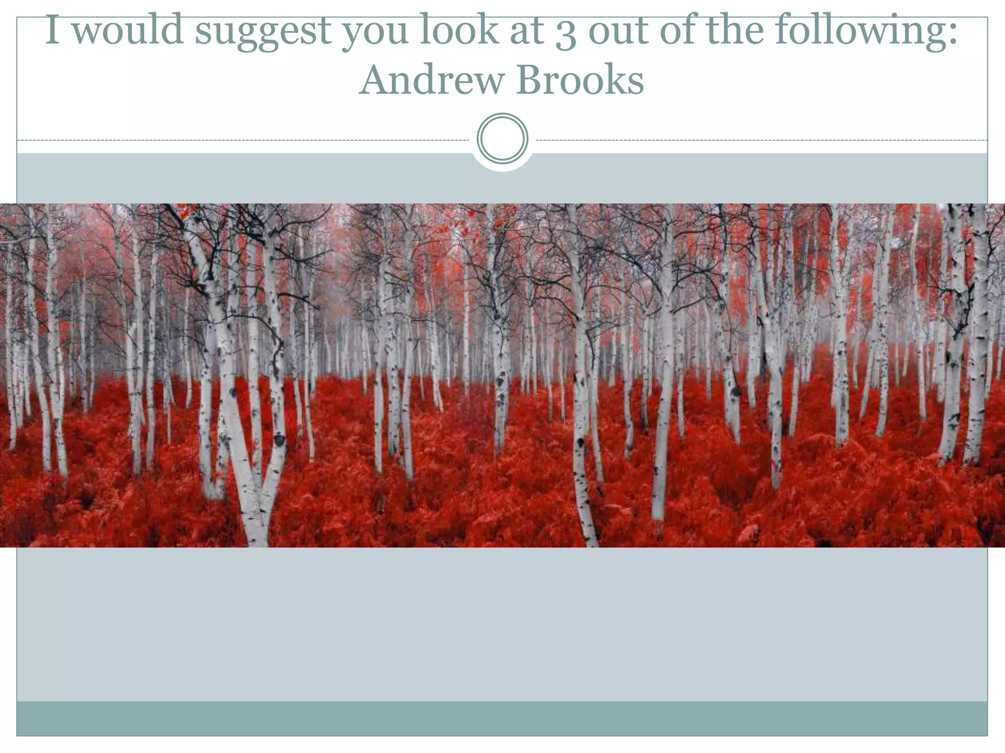 I would suggest you look at 3 out of the following:
Andrew Brooks
 