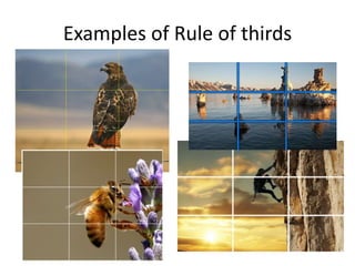 Examples of Rule of thirds
 