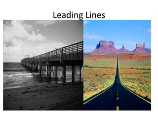 Leading Lines

 