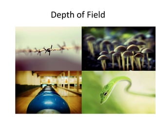 Depth of Field

 