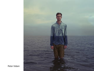 Peter Vidani

 