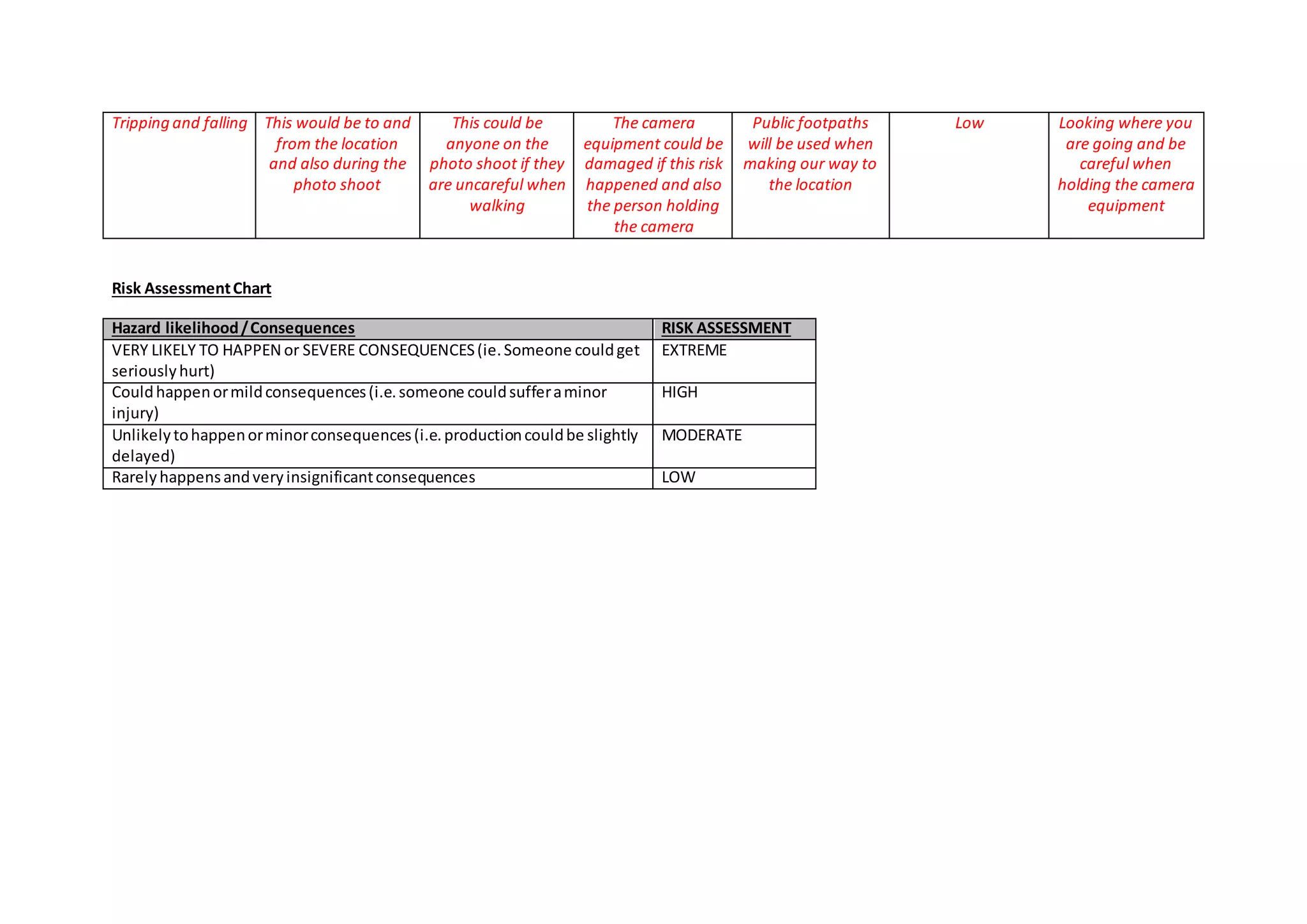 Photography shoot risk assessment form | DOCX