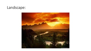 Landscape: 
 