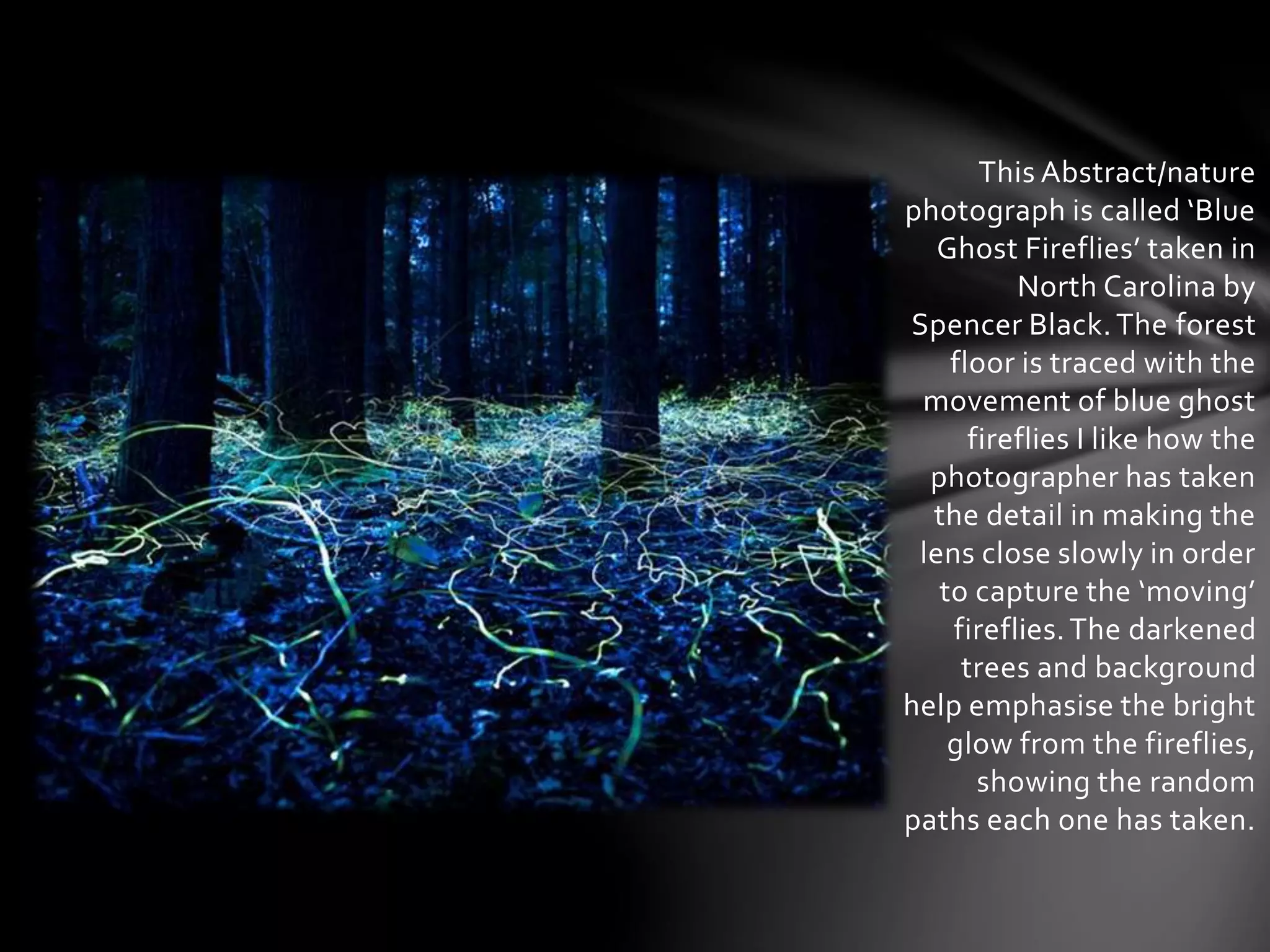 This Abstract/nature 
photograph is called ‘Blue 
Ghost Fireflies’ taken in 
North Carolina by 
Spencer Black. The forest 
floor is traced with the 
movement of blue ghost 
fireflies I like how the 
photographer has taken 
the detail in making the 
lens close slowly in order 
to capture the ‘moving’ 
fireflies. The darkened 
trees and background 
help emphasise the bright 
glow from the fireflies, 
showing the random 
paths each one has taken. 
 