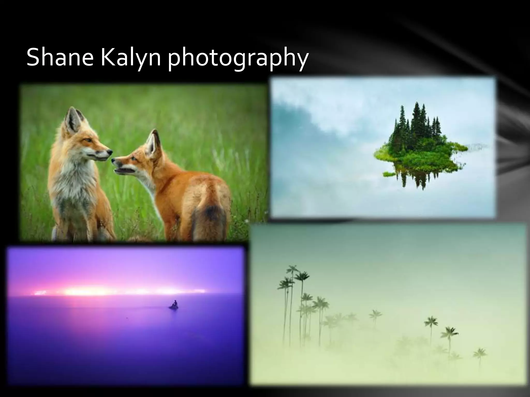 Shane Kalyn photography 
 