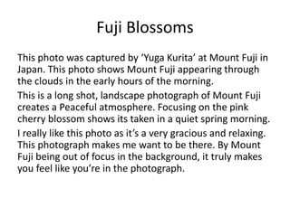 Fuji Blossoms 
This photo was captured by ‘Yuga Kurita’ at Mount Fuji in 
Japan. This photo shows Mount Fuji appearing thr...