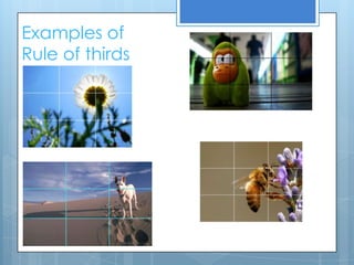 Examples of
Rule of thirds
 