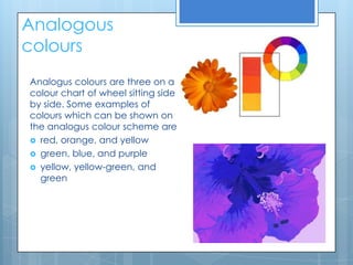 Analogous
colours
Analogus colours are three on a
colour chart of wheel sitting side
by side. Some examples of
colours which can be shown on
the analogus colour scheme are
 red, orange, and yellow
 green, blue, and purple
 yellow, yellow-green, and
  green
 