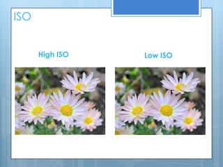 ISO


      High ISO   Low ISO
 