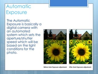 Automatic
Exposure
The Automatic
Exposure is basically a
digital camera with
an automated
system which sets the
aperture/shutter
speed which will be
based on the light
conditions for the
photo.
 