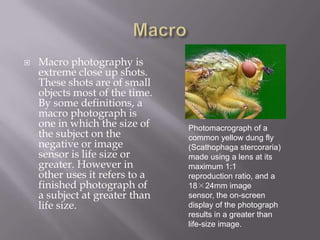    Macro photography is
    extreme close up shots.
    These shots are of small
    objects most of the time.
    By some definitions, a
    macro photograph is
    one in which the size of    Photomacrograph of a
    the subject on the          common yellow dung fly
    negative or image           (Scathophaga stercoraria)
    sensor is life size or      made using a lens at its
    greater. However in         maximum 1:1
    other uses it refers to a   reproduction ratio, and a
    finished photograph of      18×24mm image
    a subject at greater than   sensor, the on-screen
    life size.                  display of the photograph
                                results in a greater than
                                life-size image.
 