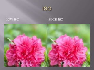 LOW ISO   HIGH ISO
 