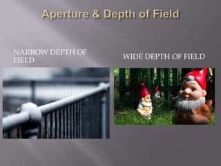 NARROW DEPTH OF
FIELD             WIDE DEPTH OF FIELD
 