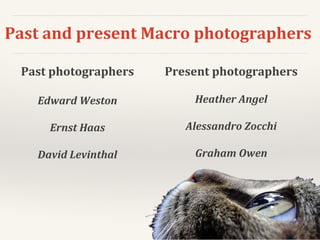 Past and present Macro photographers
Past photographers
Edward Weston
Ernst Haas
David Levinthal
Present photographers
Heather Angel
Alessandro Zocchi
Graham Owen
 