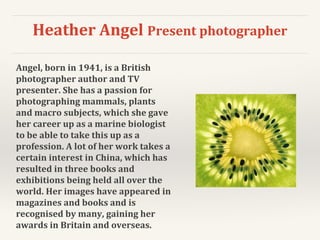 Heather Angel Present photographer
Angel, born in 1941, is a British
photographer author and TV
presenter. She has a passion for
photographing mammals, plants
and macro subjects, which she gave
her career up as a marine biologist
to be able to take this up as a
profession. A lot of her work takes a
certain interest in China, which has
resulted in three books and
exhibitions being held all over the
world. Her images have appeared in
magazines and books and is
recognised by many, gaining her
awards in Britain and overseas.
 