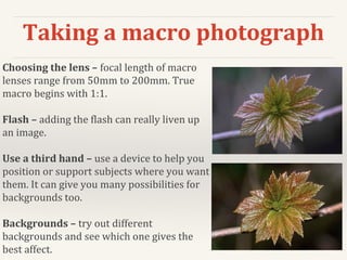 Taking a macro photograph
Choosing the lens – focal length of macro
lenses range from 50mm to 200mm. True
macro begins with 1:1.
Flash – adding the flash can really liven up
an image.
Use a third hand – use a device to help you
position or support subjects where you want
them. It can give you many possibilities for
backgrounds too.
Backgrounds – try out different
backgrounds and see which one gives the
best affect.
 