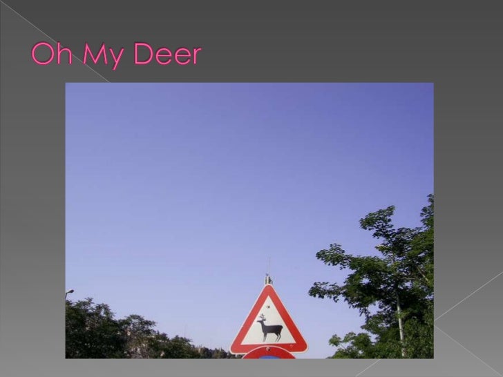 Photography Titles Presentation