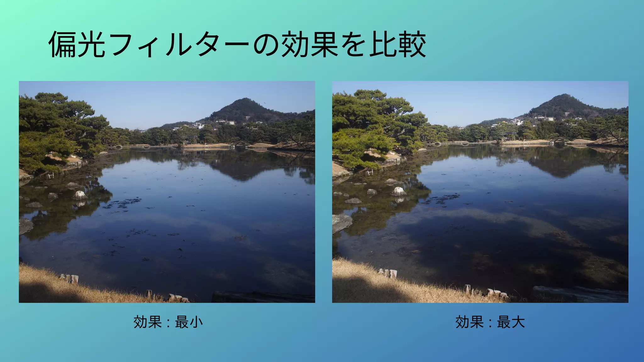 偏光フィルターの効果を比較
効果 : 最小 効果 : 最大
 