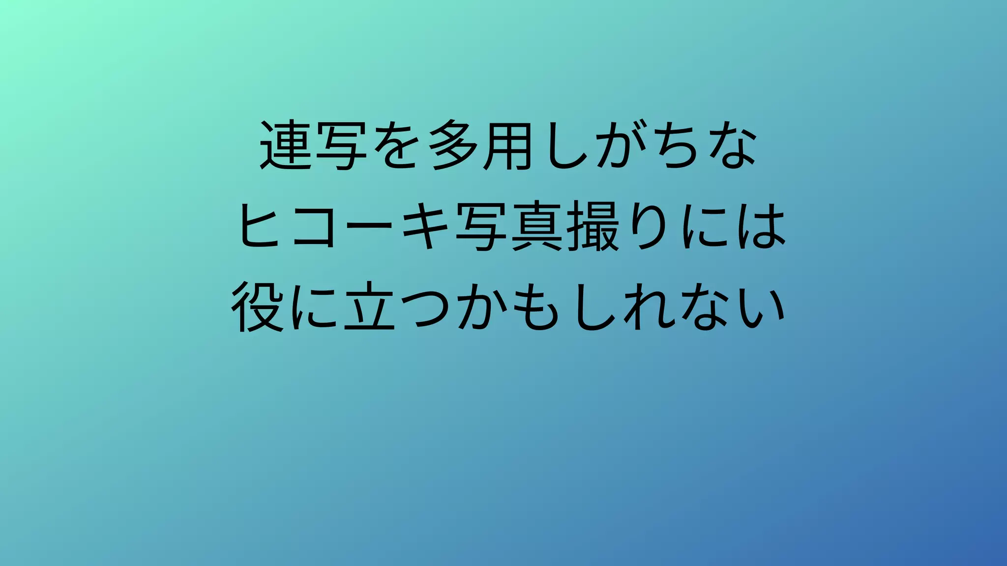 連写を多用しがちな
ヒコーキ写真撮りには
役に立つかもしれない
 