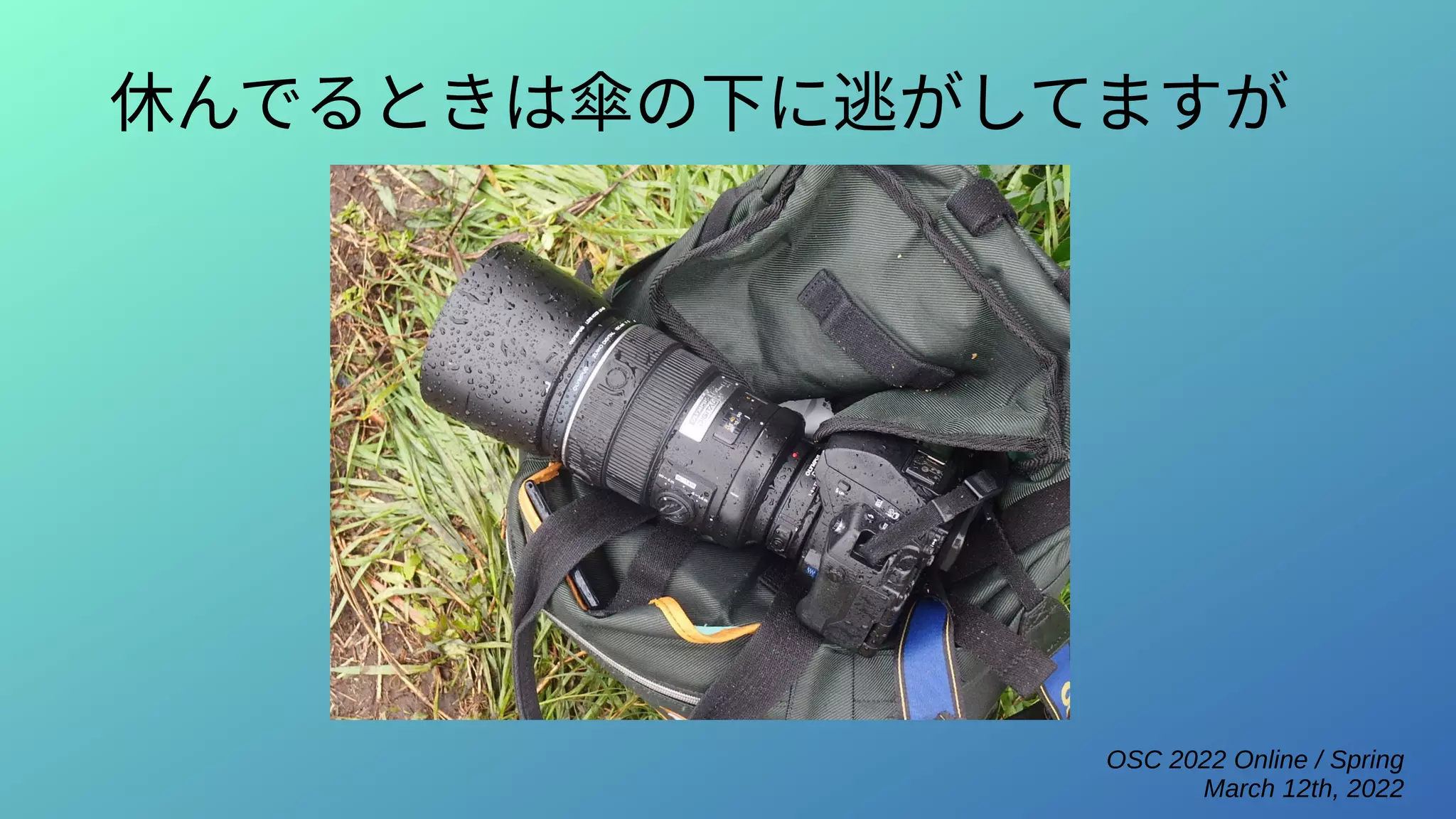 OSC 2022 Online / Spring
March 12th, 2022
休んでるときは傘の下に逃がしてますが
 