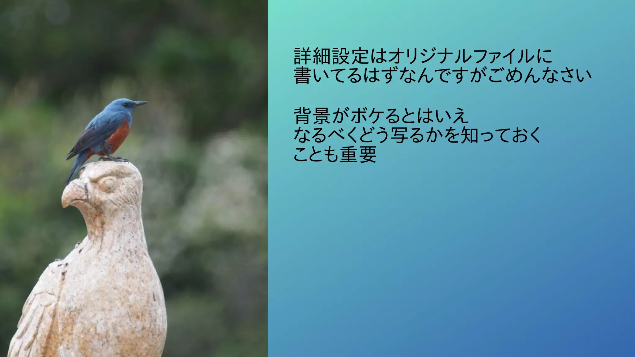詳細設定はオリジナルファイルに
書いてるはずなんですがごめんなさい
背景がボケるとはいえ
なるべくどう写るかを知っておく
ことも重要
 
