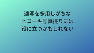 連写を多用しがちな
ヒコーキ写真撮りには
役に立つかもしれない
 
