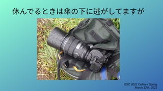 OSC 2022 Online / Spring
March 12th, 2022
休んでるときは傘の下に逃がしてますが
 