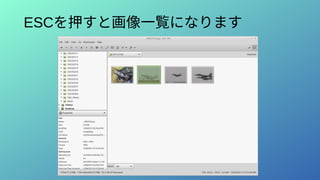ESCを押すと画像一覧になります
 