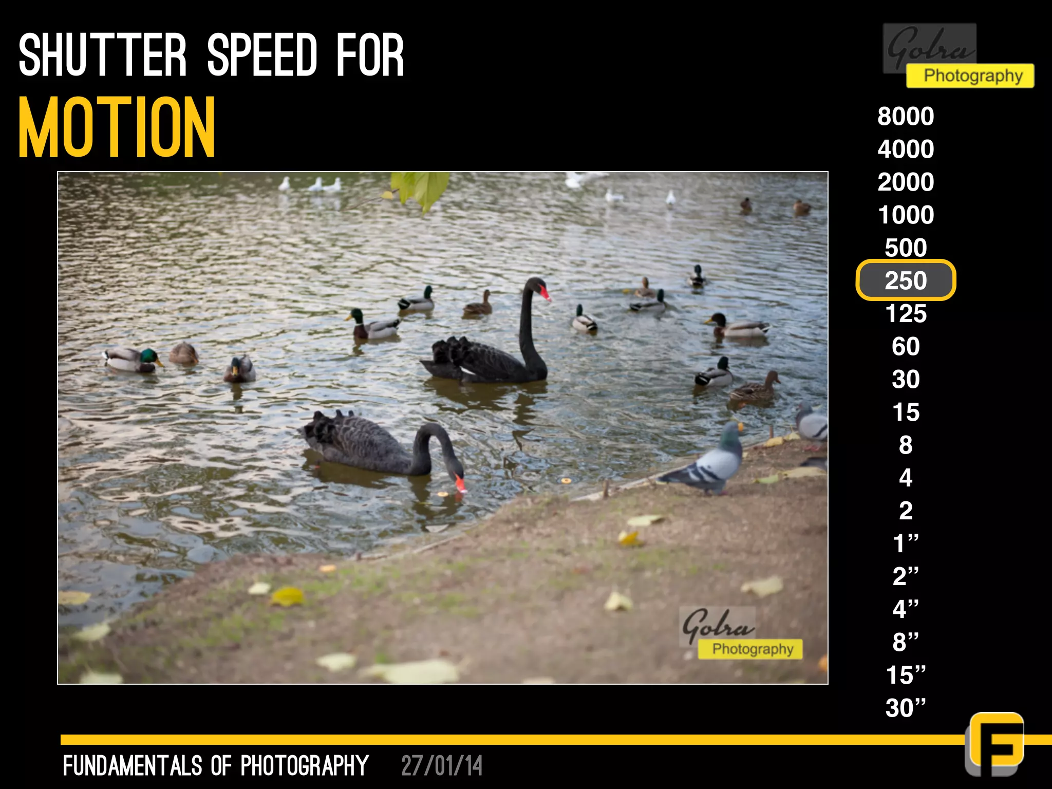 27/01/14
shutter speed for
fundamentals of photography
motion 8000
4000
2000
1000
500
250
125
60
30
15
8
4
2
1”
2”
4”
8”
15”
30”
 