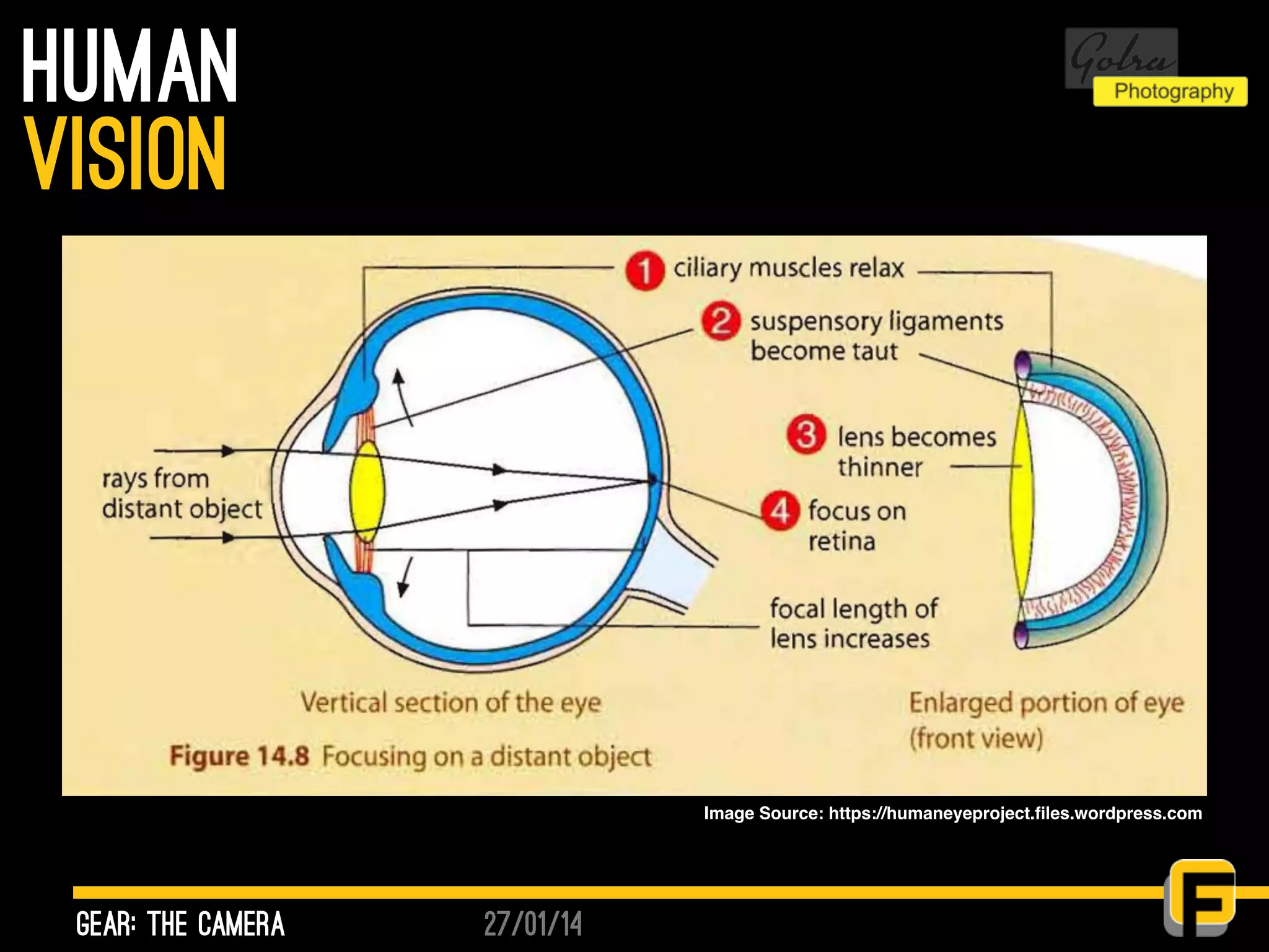 27/01/14
human
gear: the camera
vision
Image Source: https://humaneyeproject.ﬁles.wordpress.com
 