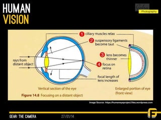 27/01/14
human
gear: the camera
vision
Image Source: https://humaneyeproject.ﬁles.wordpress.com
 