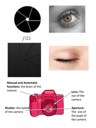 Manual and Automatic
functions: the brain of the
camera

Shutter: the eyelid
of the camera

Lens: The
eye of the
camera
Aperture:
The size of
the pupil of
the camera

 