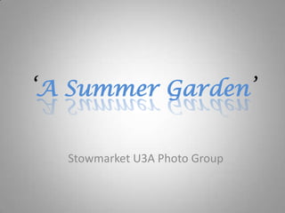 ‘A Summer Garden’
Stowmarket U3A Photo Group
 