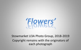 Stowmarket U3A Photo Group, 2018-2019
Copyright remains with the originators of
each photograph
‘Flowers’
 