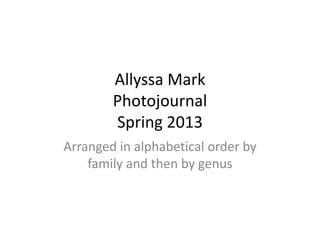 Allyssa Mark
Photojournal
Spring 2013
Arranged in alphabetical order by
family and then by genus
 