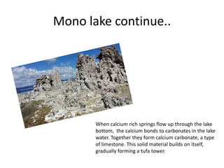 Mono lake continue..
When calcium rich springs flow up through the lake
bottom, the calcium bonds to carbonates in the lake
water. Together they form calcium carbonate, a type
of limestone. This solid material builds on itself,
gradually forming a tufa tower.
 
