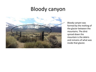 Bloody canyon
Bloody canyon was
formed by the melting of
the glacier between the
mountains. The dirst
spread down the
mountain is the debris
and remains of what was
inside that glacier.
 
