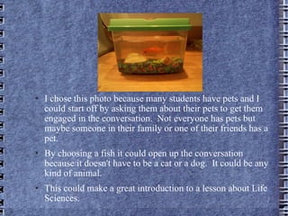 I chose this photo because many students have pets and I could start off by asking them about their pets to get them engaged in the conversation.  Not everyone has pets but maybe someone in their family or one of their friends has a pet.  By choosing a fish it could open up the conversation  because it doesn't have to be a cat or a dog.  It could be any kind of animal. This could make a great introduction to a lesson about Life Sciences.  